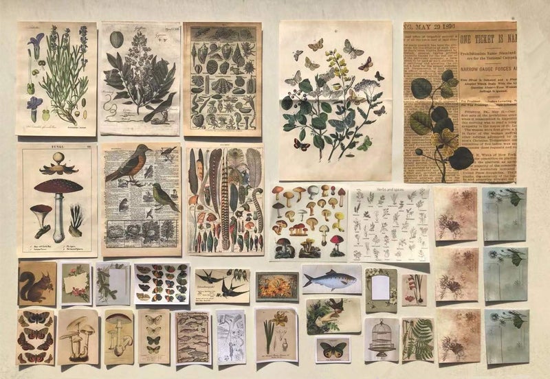 DESEACO Vintage Aesthetic Posters for Wall Decor, Green Botanical Art for Teen Girlsâ€™ Rooms, Cute Plant Journaling Supplies and Nature-Inspired Collage Kit - Image 1